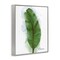 Stupell Industries Modern Banana Plant Leaf Framed Giclee By Matthew Piotrowicz